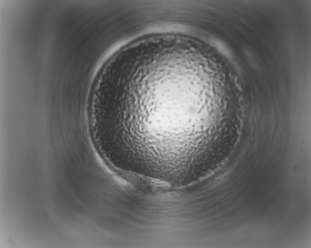 X0000081600943200701221133