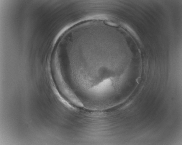 X0000081600944200701221133