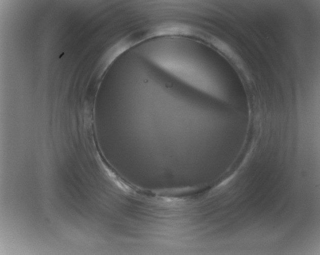 X0000081600945200701221133