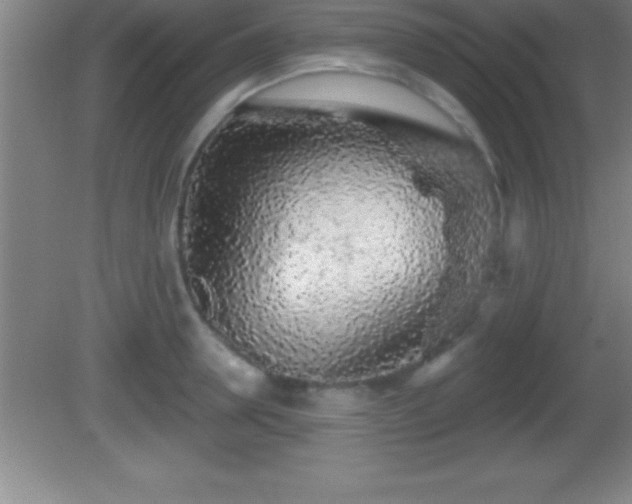 X0000081600946200701221133