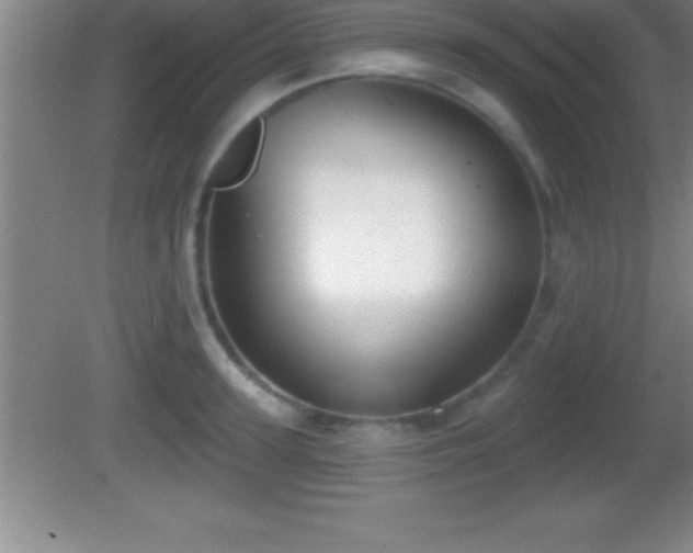 X0000081600947200701221133