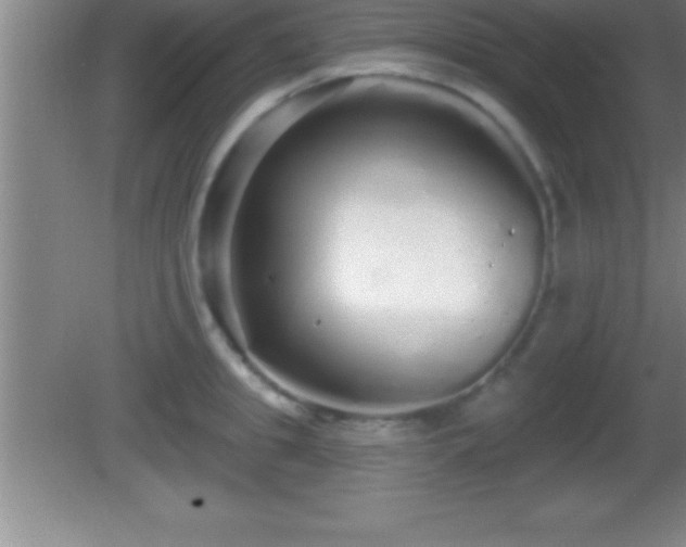 X0000081600949200701221133