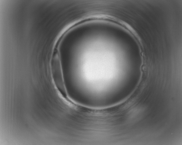 X0000081600951200701221133