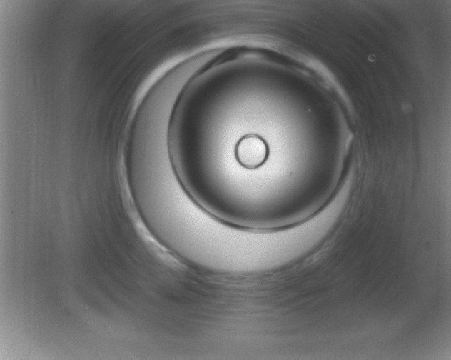 X0000081600952200701221133