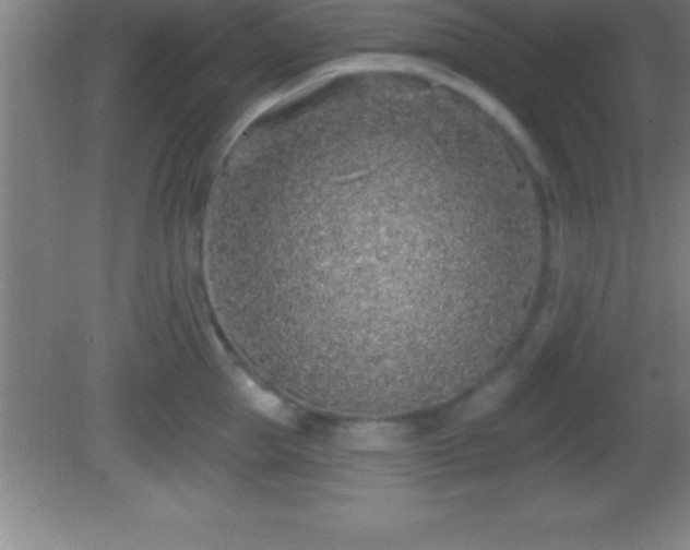 X0000081600953200701221133