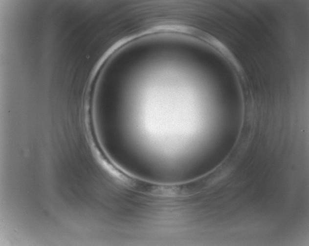 X0000081600955200701221133