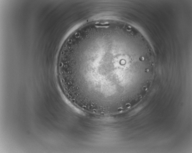 X0000081600957200701221133