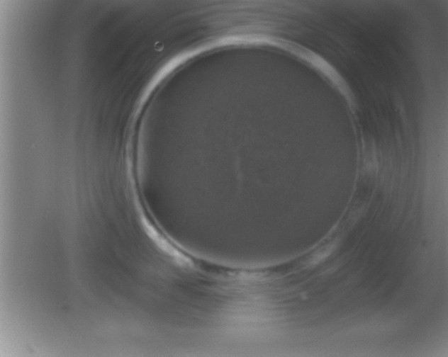 X0000081600958200701221133