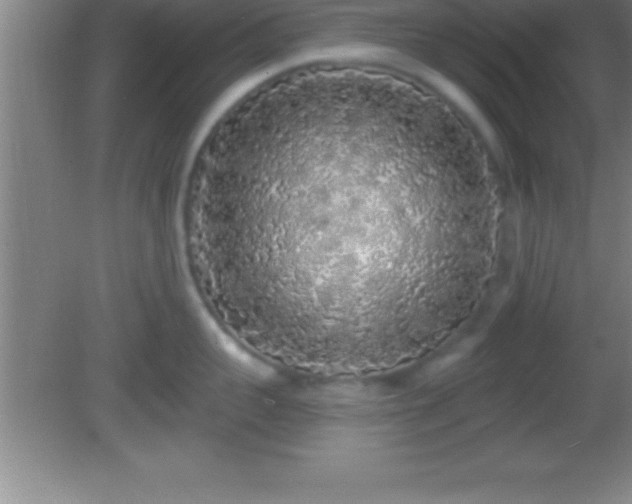 X0000081600959200701221133