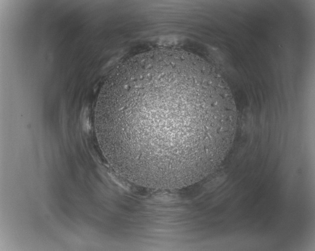 X0000081600962200701221132