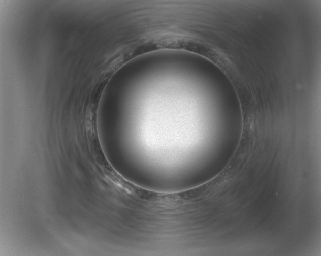 X0000081600964200701221132