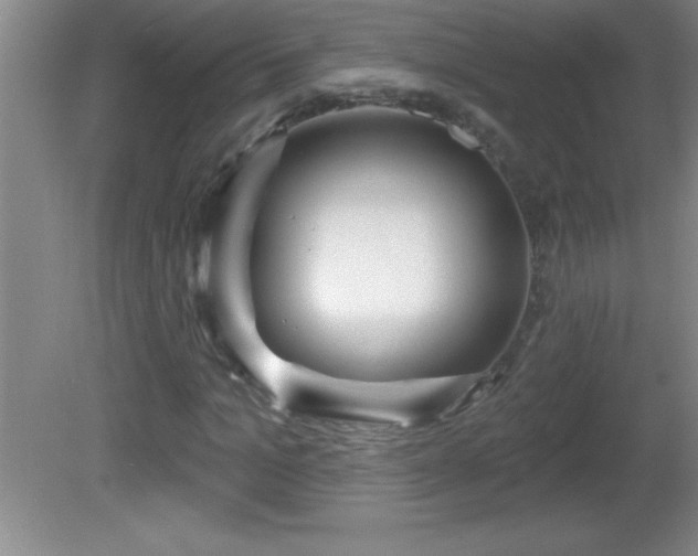 X0000081600965200701221132