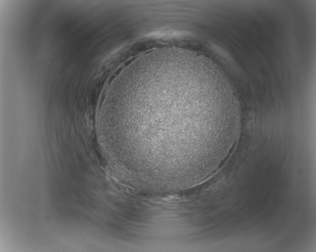 X0000081600966200701221132