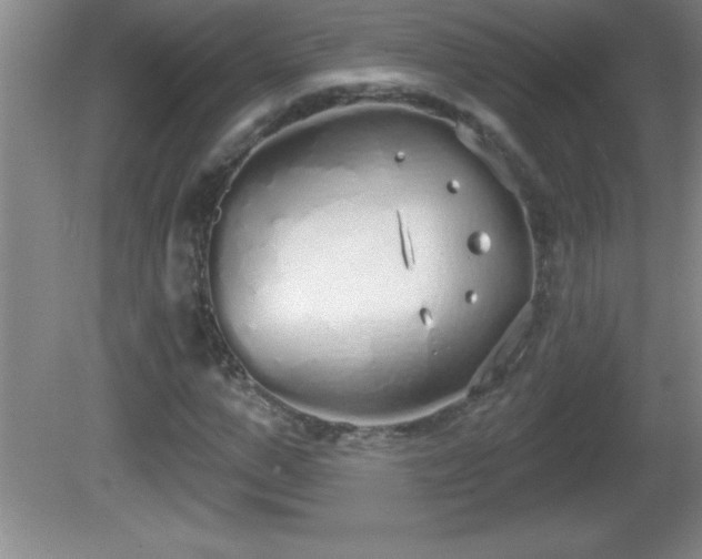 X0000081600967200701221132