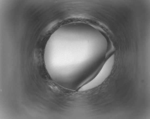 X0000081600968200701221132