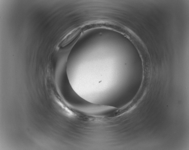 X0000081600969200701221132