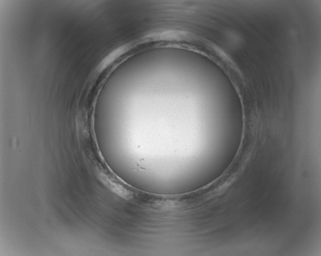 X0000081600970200701221132