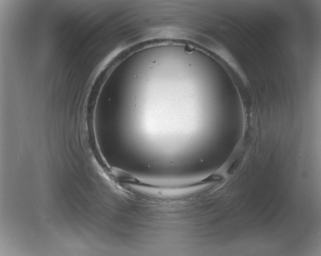 X0000081600972200701221132