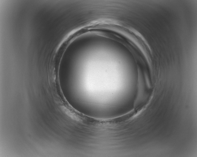 X0000081600973200701221132