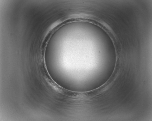 X0000081600974200701221132