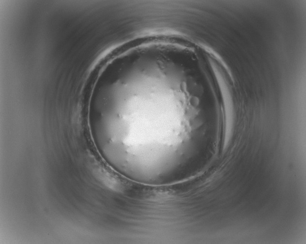 X0000081600975200701221132