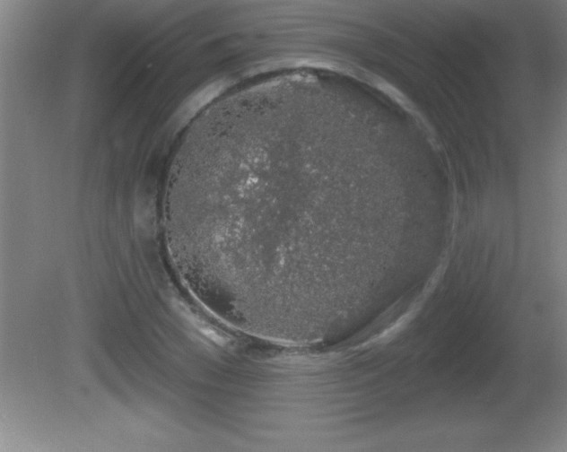 X0000081600977200701221132