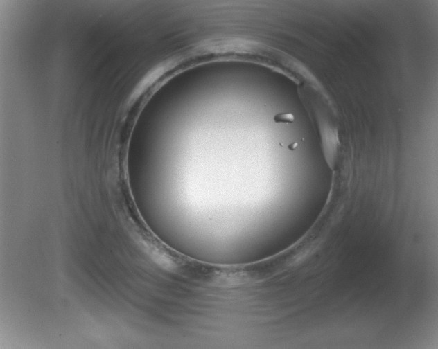 X0000081600978200701221132