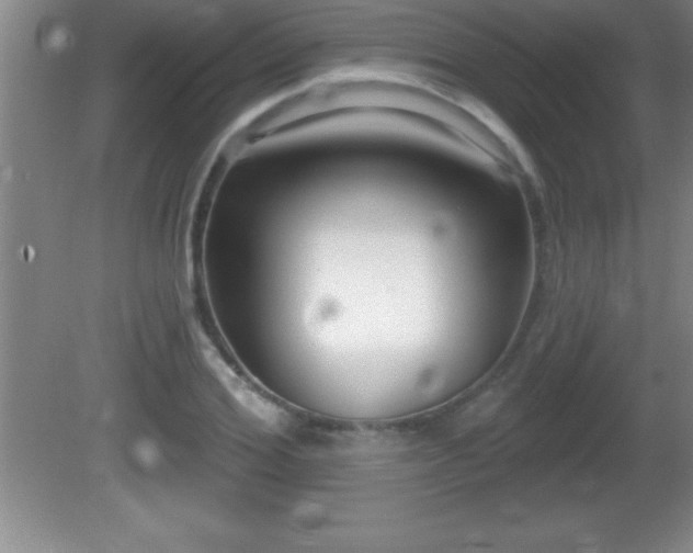 X0000081600980200701221132