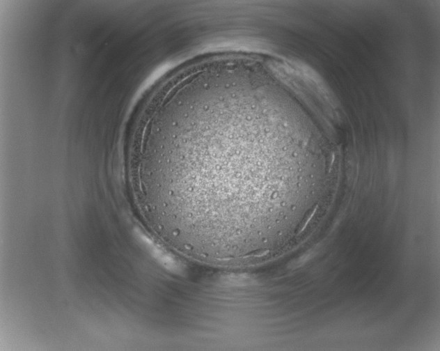 X0000081600982200701221132