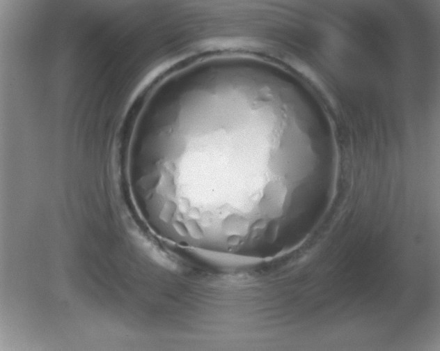 X0000081600983200701221132