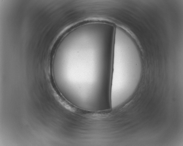 X0000081600984200701221132