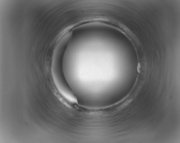 X0000081600985200701221132