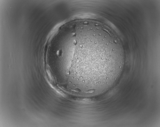 X0000081600986200701221132