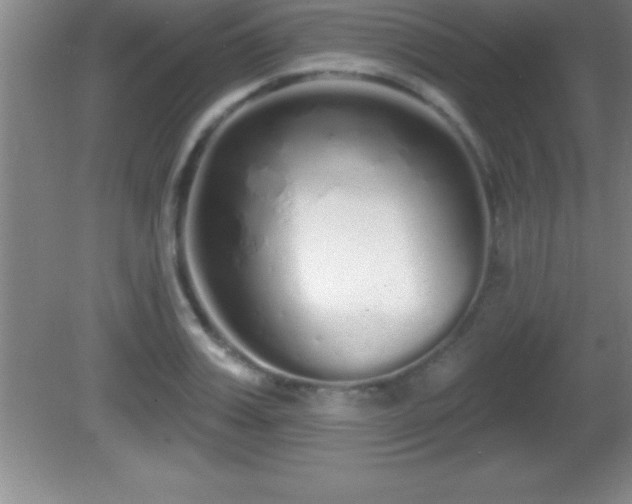 X0000081600987200701221132