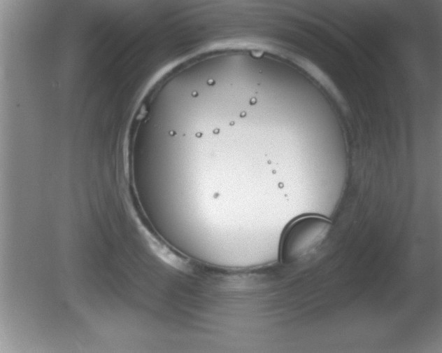 X0000081600988200701221132