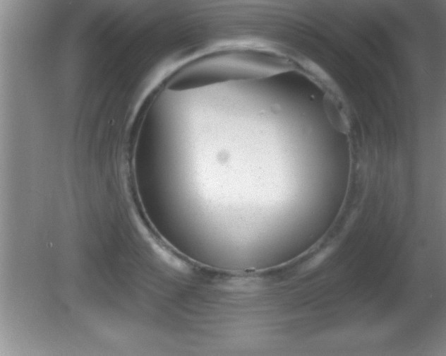 X0000081600989200701221132