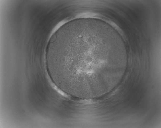 X0000081600990200701221132