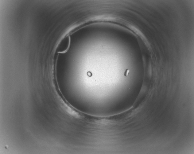 X0000081600992200701221132