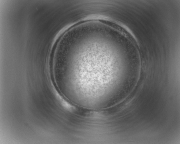 X0000081600995200701221132