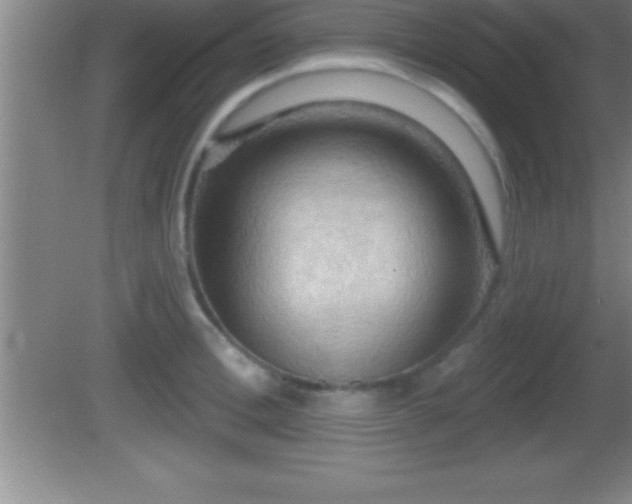 X0000081600996200701221132