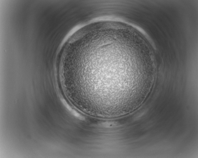 X0000081600998200701221132