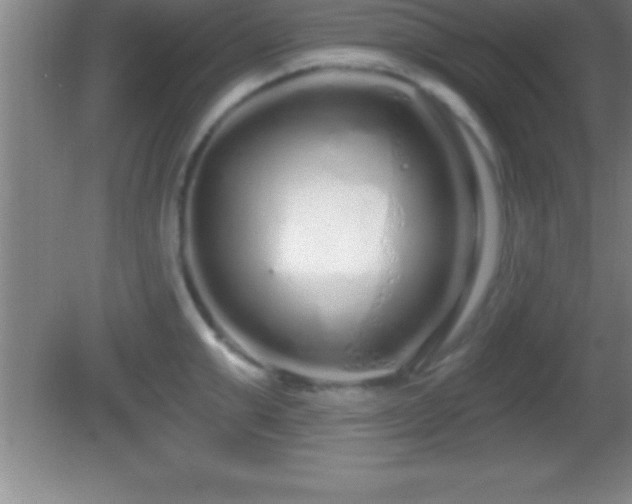 X0000081600999200701221132