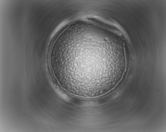 X0000081601002200701221132