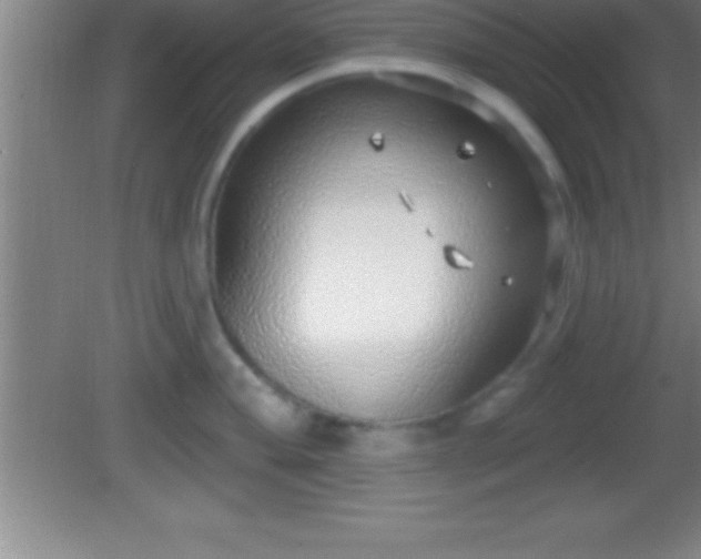 X0000081601004200701221131