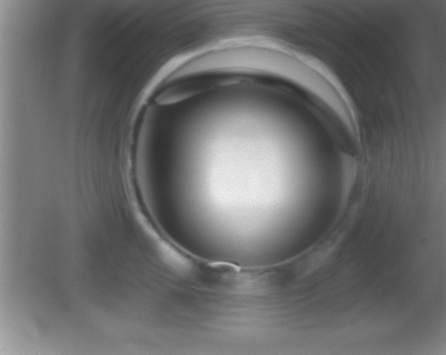 X0000081601005200701221131