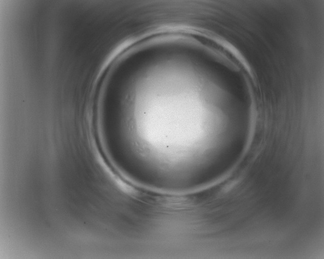 X0000081601007200701221131