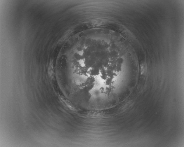 X0000081601011200701221131