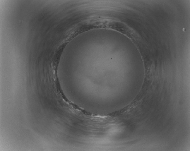 X0000081601013200701221131