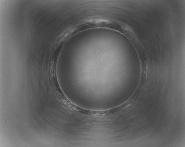 X0000081601014200701221131