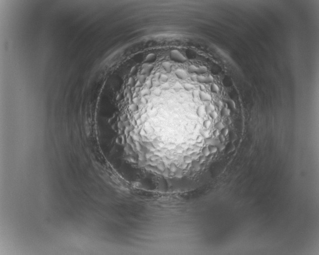 X0000081601015200701221131